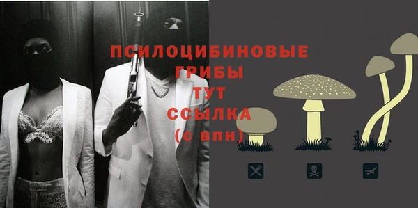эйфоретик Алексин