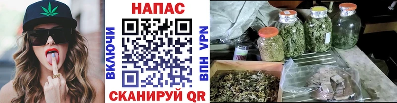 как найти наркотики  Дзержинск  площадка наркотические препараты  Конопля THC 21% 